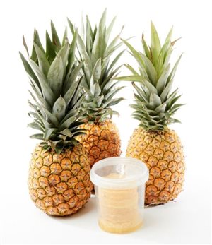 pineomatic_krajac-ananas-automaticky-samoobsluzny-stroj_3