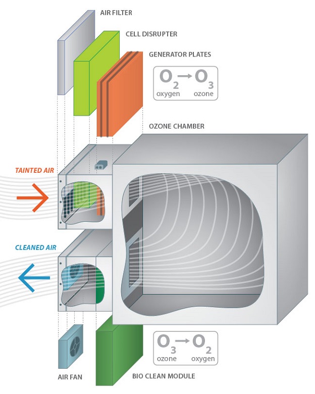 bioturbo