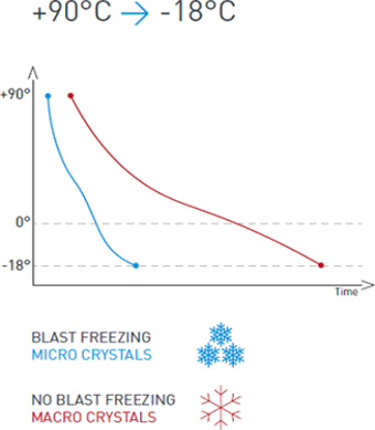 blast-freezing-sokove_mrazenie