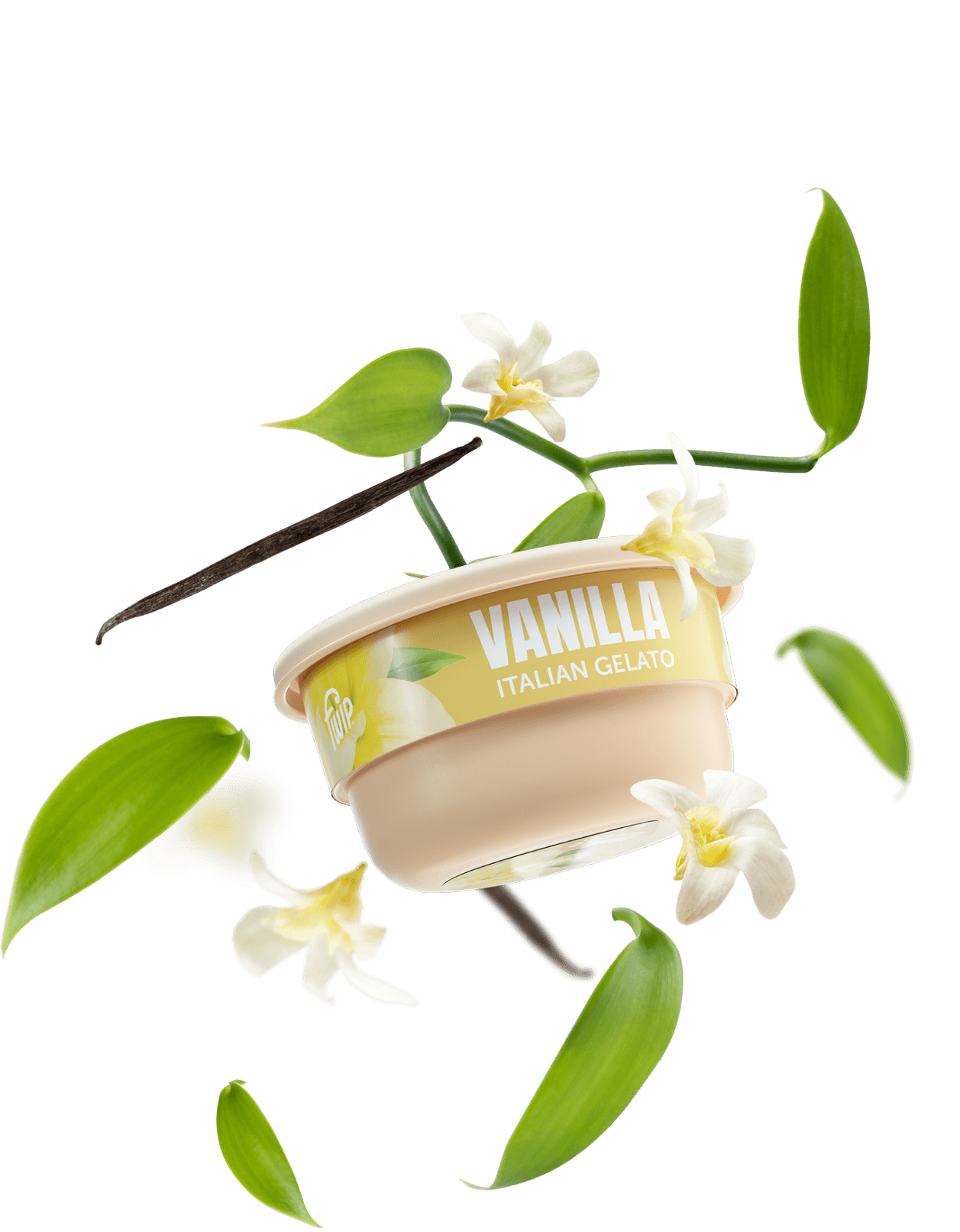 vanila bg capsule